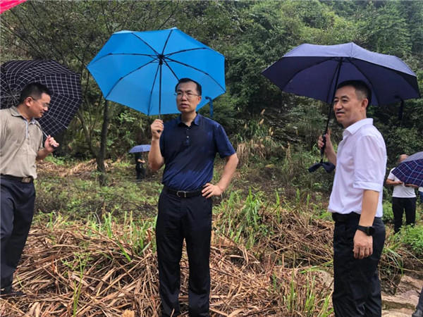 陈雪楚到邵阳,益阳调研督导信访工作